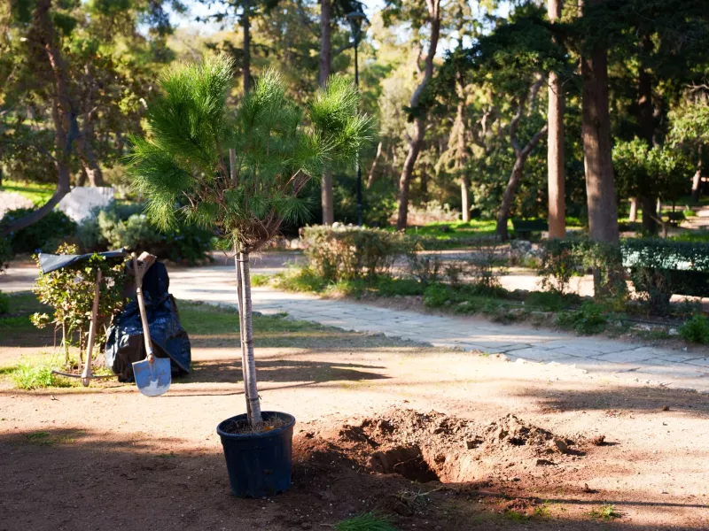 Περιβαλλοντική δράση στο Πάρκο Σταύρος Νιάρχος