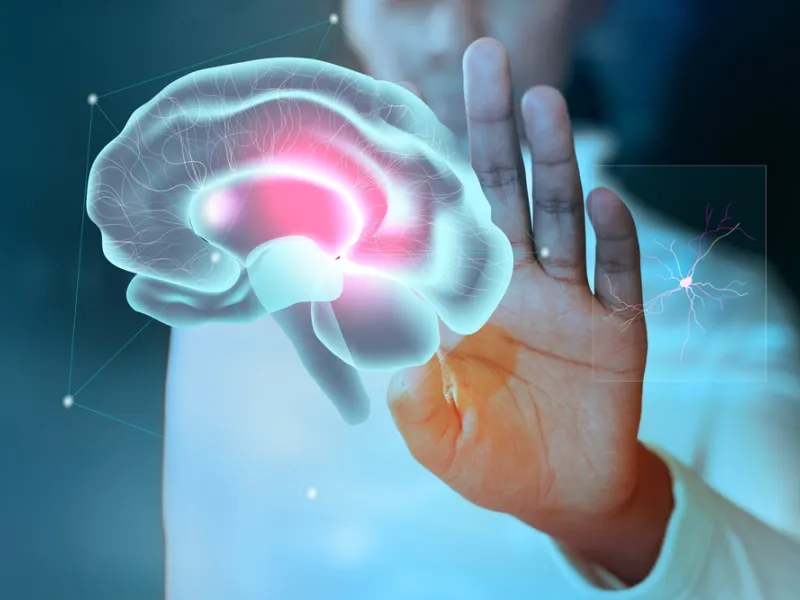 brain