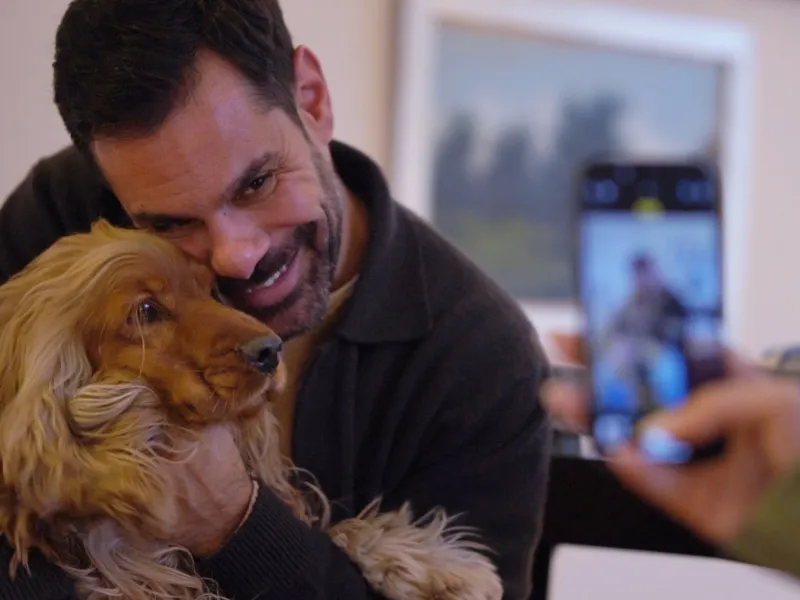 pet stories