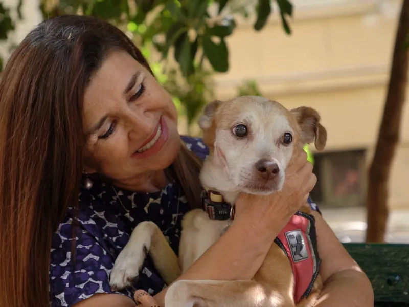 Pet Stories