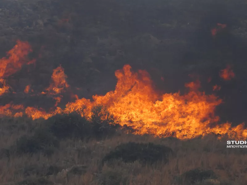 Πυρκαγιές σε αγροτικές δασικές εκτάσεις