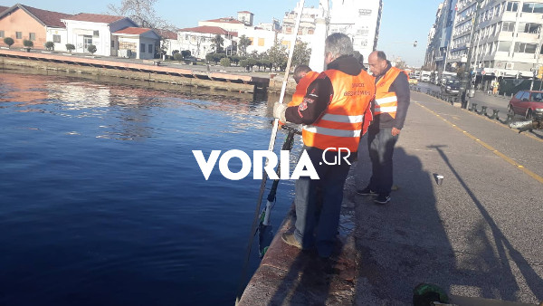 Θεσσαλονίκη: Δεκάδες πατίνια ψάρεψε ο δήμος από τον Θερμαϊκό (video) 