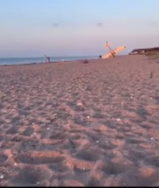 ΗΠΑ: Αεροσκάφος κάνει αναγκαστική προσγείωση σε παραλία με άμμο - Δείτε βίντεο