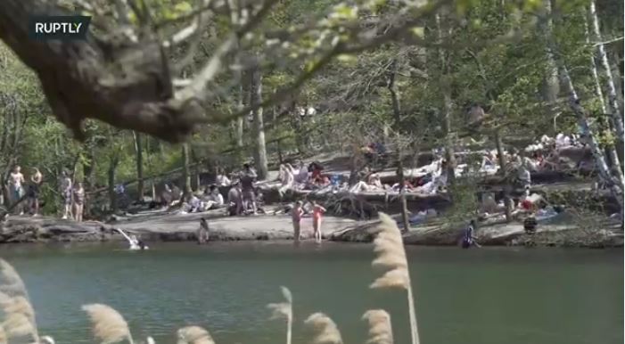 berlin lake swimming pigi ruptly