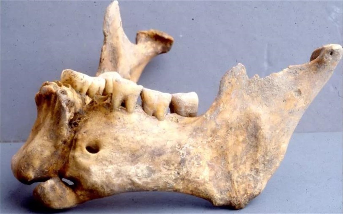 Καβάλα: Ανακαλύφθηκε αποκεφαλισμένος βυζαντινός πολεμιστής με σαγόνι δεμένο με χρυσό σύρμα