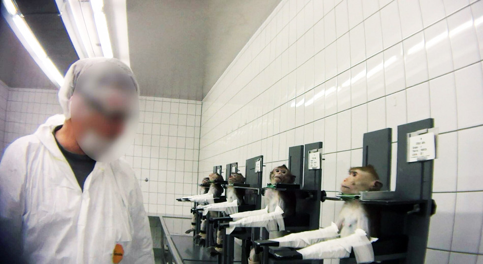 Γερμανία: Λουκέτο στο «κολαστήριο» ου βασάνιζε ζώα 1
