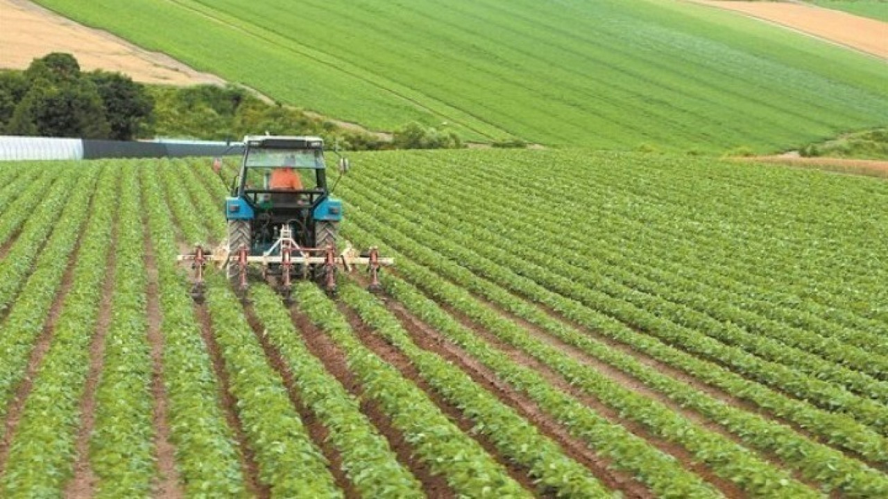 ΕΛΣΤΑΤ: Αύξηση 30,6% στα αγροτικά εισοδήματα τον Ιούνιο 2023- Ποιοι τομείς της παραγωγής απέφεραν περισσότερα έσοδα