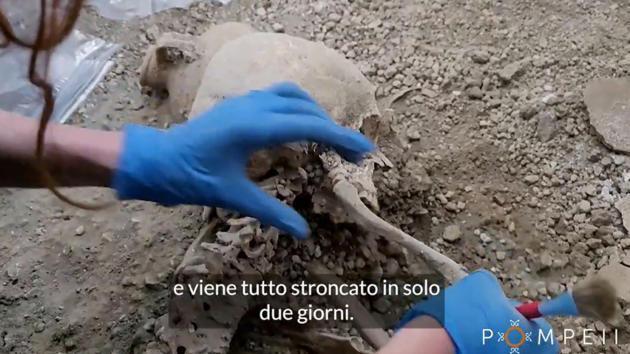 Νέα εντυπωσιακή ανακάλυψη στην αρχαία Πομπηία – Βρέθηκαν σκελετοί δύο ανδρών (βίντεο)