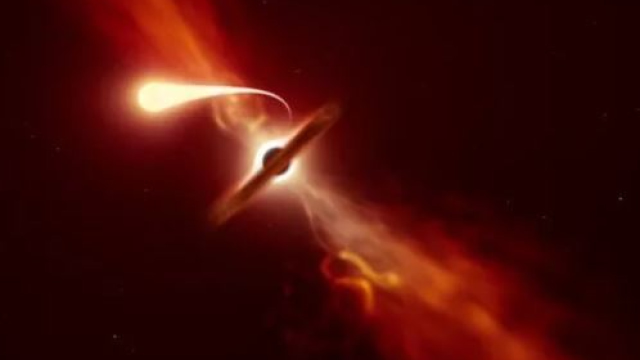 star spage.webp1