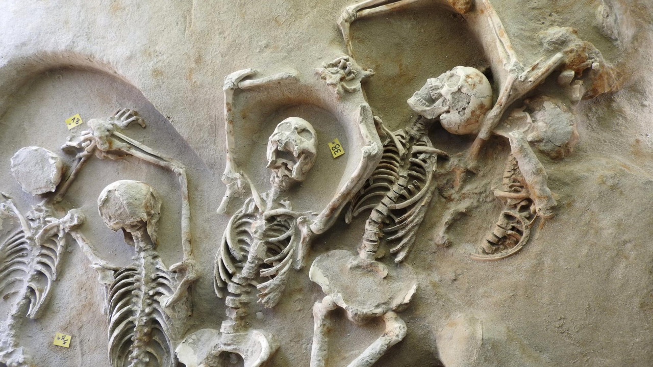 «Δεσμώτες του Φαλήρου»: Συνεχίζονται οι εργασίες διάσωσης των 78 αλυσοδεμένων ανθρώπινων σκελετών - Φωτογραφίες