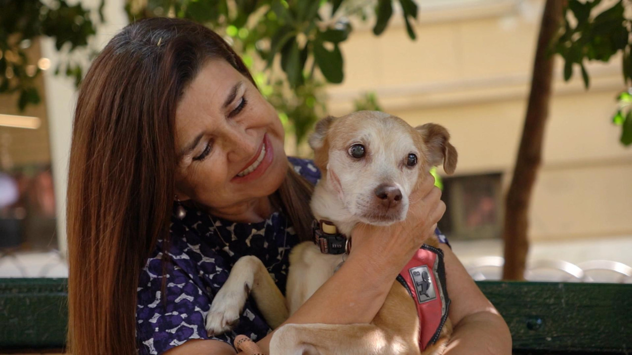 Pet Stories: &Sigma;&tau;&eta;&nu; &pi;&alpha;&rho;έ&alpha; &mu;&alpha;&sigmaf; &eta; &eta;&theta;&omicron;&pi;&omicron;&iota;ό&sigmaf; Ά&nu;&nu;&alpha; &Kappa;&omicron;&upsilon;&rho;ή &kappa;&alpha;&iota; &omicron; &Omicron;&rho;&phi;έ&alpha;&sigmaf; - &Tau;&omicron; &Sigma;ά&beta;&beta;&alpha;&tau;&omicron; &sigma;&tau;&iota;&sigmaf; 12.40, &sigma;&tau;&omicron;&nu; &Sigma;&Kappa;&Alpha;Ϊ (Trailer)