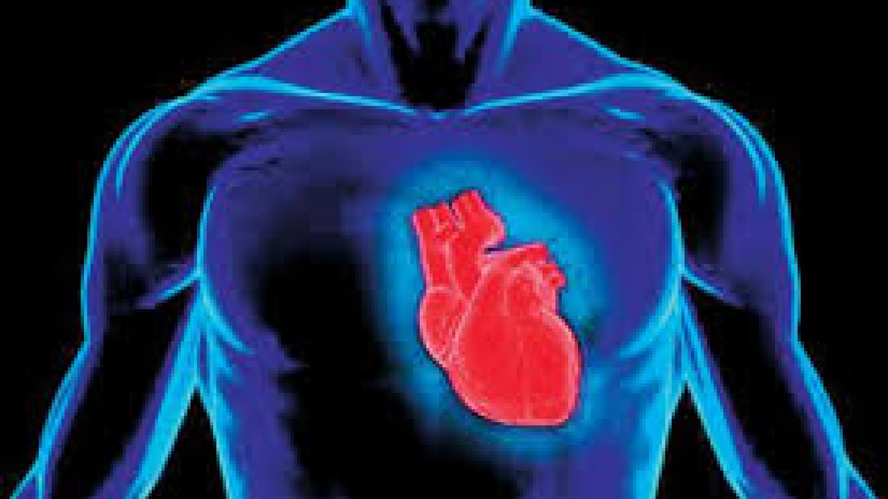 Υπέρηχοι Καρδιάς: Ποια είναι τα νεότερα δεδομένα;