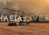Δασοκομάντος εν δράσει από τη φωτιά στη Βάλμη Ηλείας- Δείτε βίντεο
