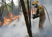 Φωτιά στην Πορτογαλία: Εθνικός δρυμός συνεχίζει να φλέγεται