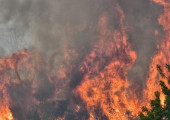 Ηλεία: Φωτιά σε αγροτική έκταση στην περιοχή Σπιάντζα