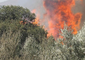 Πυρκαγιές- Ελλάδα: 41 σε 1 μέρα- Κατά τόπους αναζωπυρώσεις στην Κόνιτσα