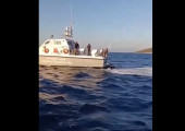 Φαρμακονήσι