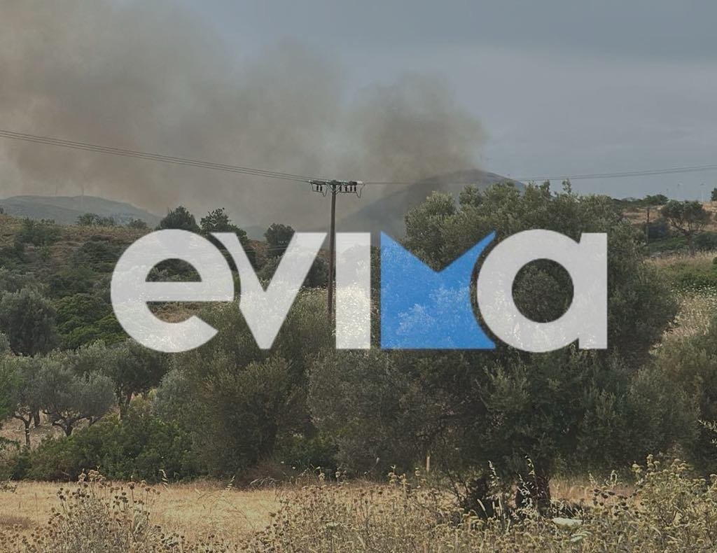 ξυτξτξτ