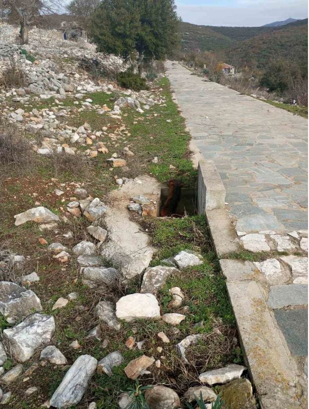 Αλογάκι στην Ξάνθη