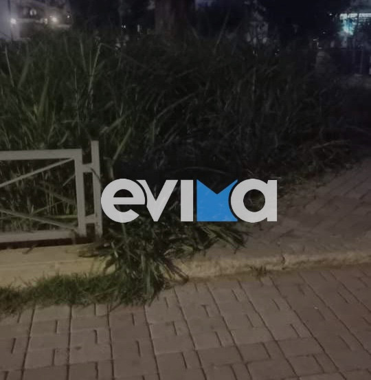 ΕΥΒΟΙΑ