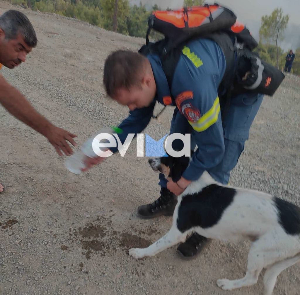 ο'ο'