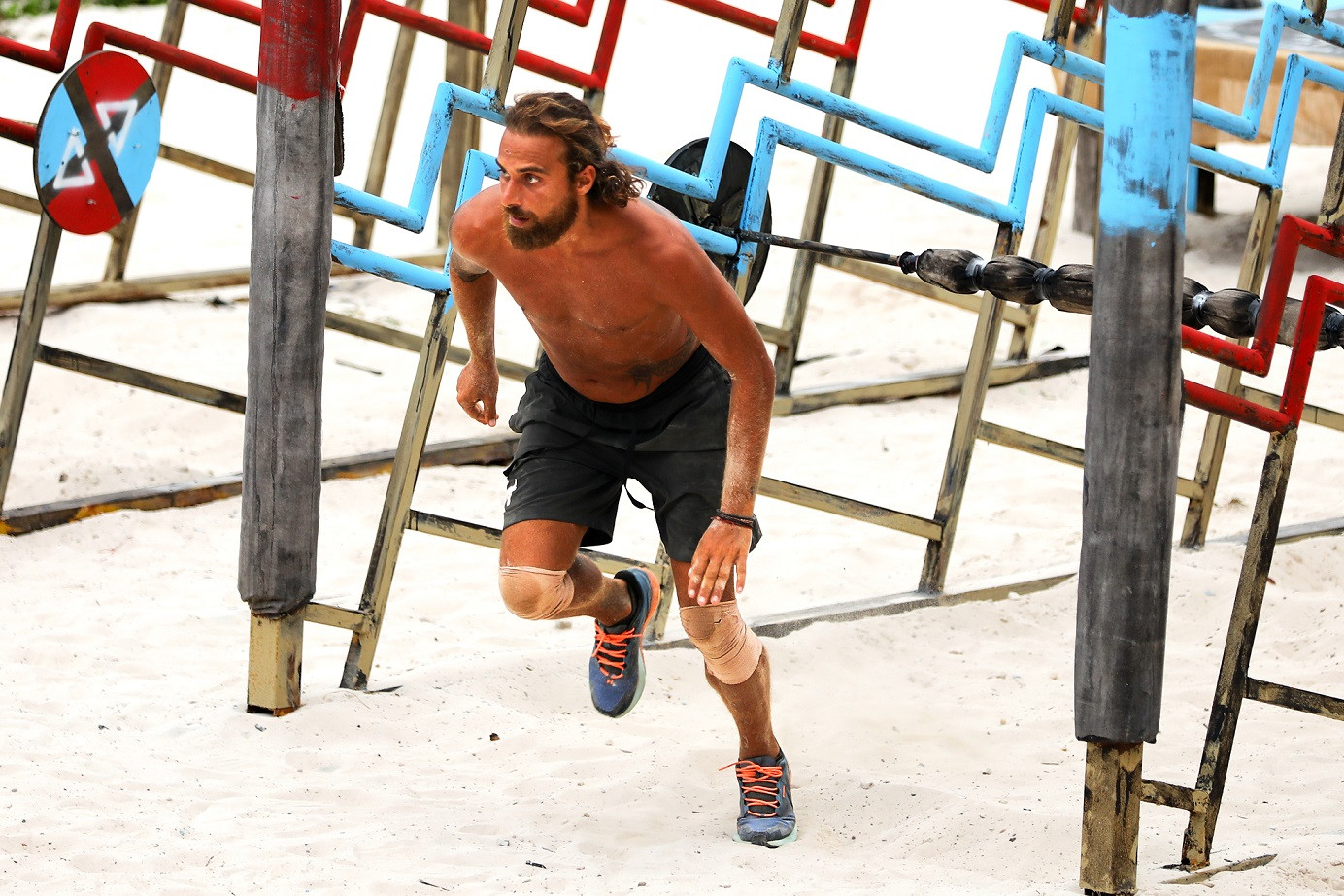 Survivor All Star