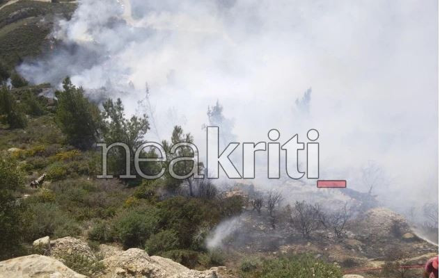 κυκυκυκ