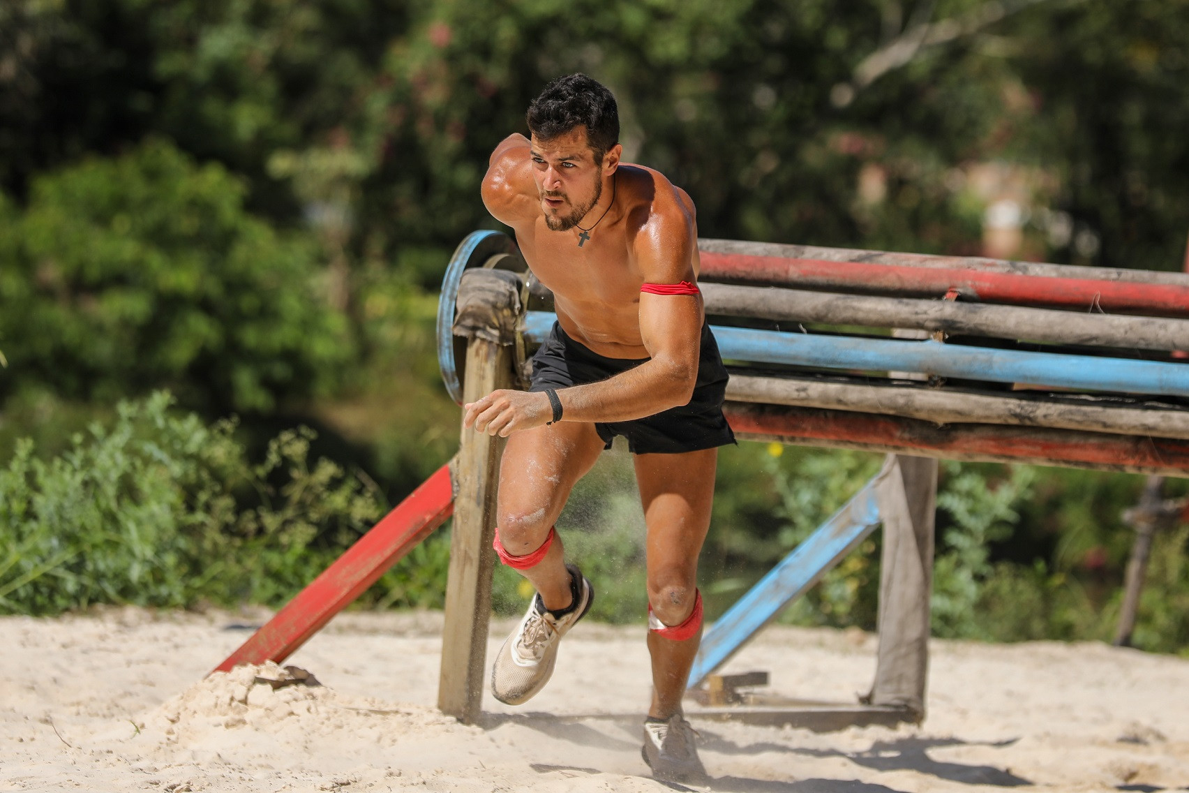 Survivor 2024