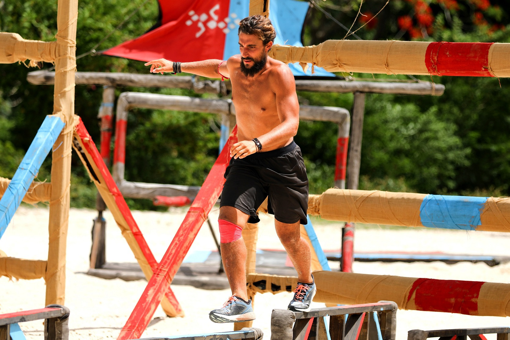 Survivor All Star