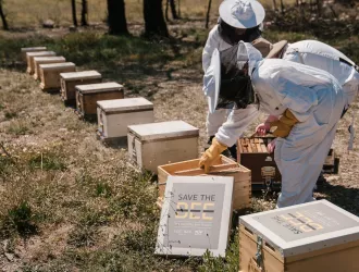 TÜV AUSTRIA Hellas και Ξενοδοχειακός Όμιλος SANI/ IKOS:  Μεγάλη πρωτοβουλία αναδοχής μελισσιών για την ανασυγκρότηση της βιοποικιλότητας της Πάρνηθας μετά τις πυρκαγιές