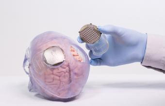 Έρευνα: Ο εγκέφαλος αντιλαμβάνεται τα απτικά ερεθίσματα σε εξωτερικά αντικείμενα όπως και στα μέλη του σώματος