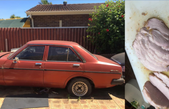 Καλοψημένο στο.. Ντάτσουν: Ανδρας έψησε χοιρινό στο αμάξι εν μέσω του κύματος καύσωνα στην Αυστραλία
