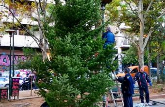 Ξαναστήθηκε χριστουγεννιάτικο δέντρο στα Εξάρχεια (φωτο)
