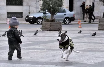 Κακοκαιρία «Φίλιππος»: Πολικές θερμοκρασίες και παγετός από την Τετάρτη -Οι οδηγίες της Πολιτικής Προστασίας