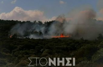 Μυτιλήνη: Συγκρούσεις κατοίκων με την αστυνομία-Φωτιά στο δάσος του Καραβά