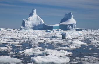 Το αρχαιότερο θαλάσσιο DNA στην Ανταρκτική 