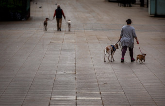 Κορωνοϊός: Γιατί όλοι στην Ισπανία εύχονται να είχαν σκύλο - Κατέληξαν να νοικιάζουν!