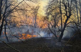 Για «κίνδυνο ραδιενεργής ακτινοβολίας» προειδοποιεί η Greenpeace  για τη φωτιά στο Τσερνόμπιλ