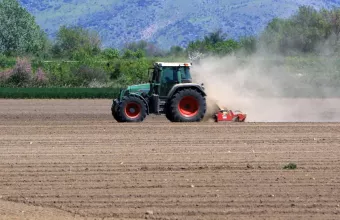 Ηλεία: Σε ατύχημα με τρακτέρ οφείλεται ο θάνατος των εννέα κουταβιών στα Καβάσιλα, σύμφωνα με κατοίκους του χωριού