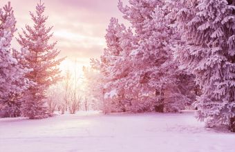 Oι Άλπεις άλλαξαν χρώμα: Το παράξενο φαινόμενο «ροζ χιόνι» προβληματίζει τους ειδικούς