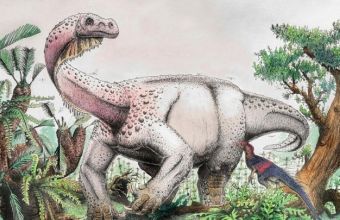 Τι ανακαλύφθηκε για πρώτη φορά σε δεινόσαυρο που έζησε πριν από 76 εκατ. χρόνια