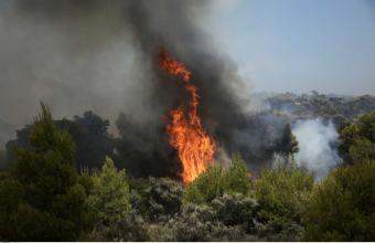Γεράνεια Όρη: Σε ύφεση η πυρκαγιά στον Σχίνο Λουτρακίου Κορινθίας