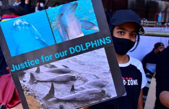 Μαυρίκιος: Ιστορικές διαδηλώσεις μετά την πετρελαιοκηλίδα και τον θάνατο 40 δελφινιών