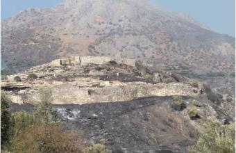 Μυκήνες: Από τον αρχαιολογικό χώρο ξεκίνησε η πυρκαγιά- Ενισχύθηκαν οι δυνάμεις  