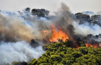 Φωτιά- Κεφαλονιά: Eνίσχυση πυροσβεστικών δυνάμεων- Προληπτική εκκένωση στο Καπανδρίτι (pic+vid)