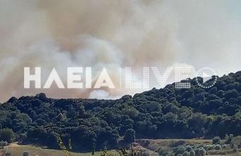 Πυρκαγιά στην Αμαλιάδα: Εντολή εκκένωσης στο χωριό Δάφνη Ηλείας (VID)
