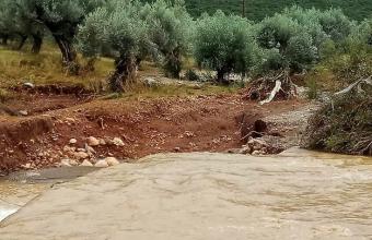 Μπάλλος- Αγρίνιο: Προληπτική εκκένωση οικισμού λόγω ανόδου στάθμης νερού στη λίμνη Λυσιμαχεία (VID)