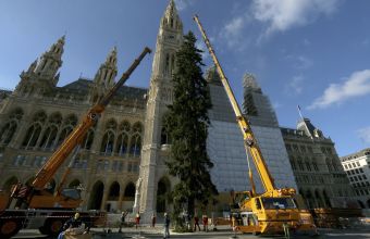 Αυστρία: 2 τεράστια χριστουγεννιάτικα δένδρα σε κεντρικά σημεία Βιέννης - Ο συμβολισμός τους