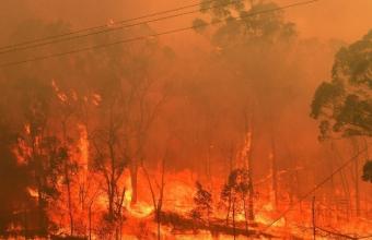 Ιταλία-Φωτιές: Πάνω από 200.000 στρέμματα γης κάηκαν στη Σαρδηνία
