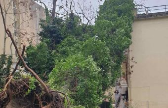 Κακοκαιρία στην Κέρκυρα: Ξεριζώθηκαν δέντρα, ζημιές σε σπίτια